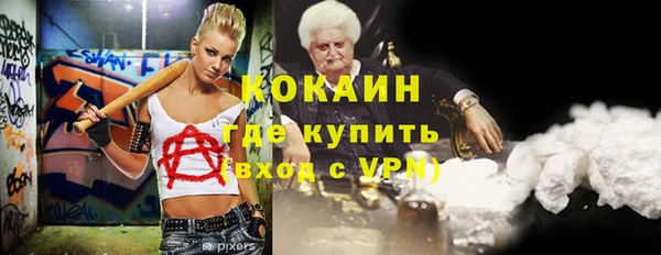 apvp Алзамай